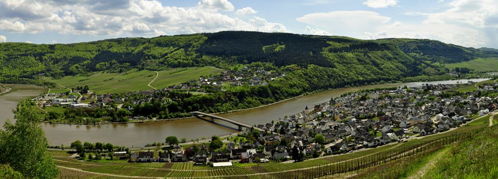 Mehring Touristinformation Römische Weinstraße